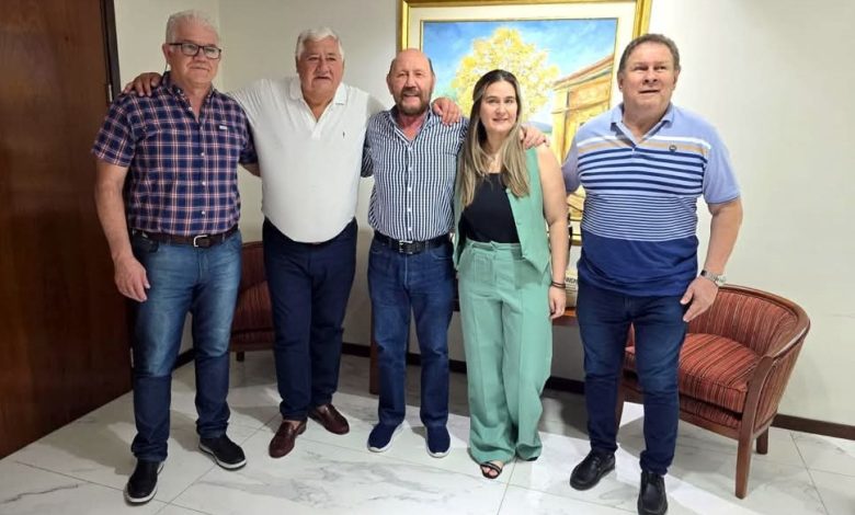 El Gobernador Gildo Insfrán Se Reúne con Referentes de la Federación de Luz y Fuerza para Analizar la Situación del Sector Eléctrico 1