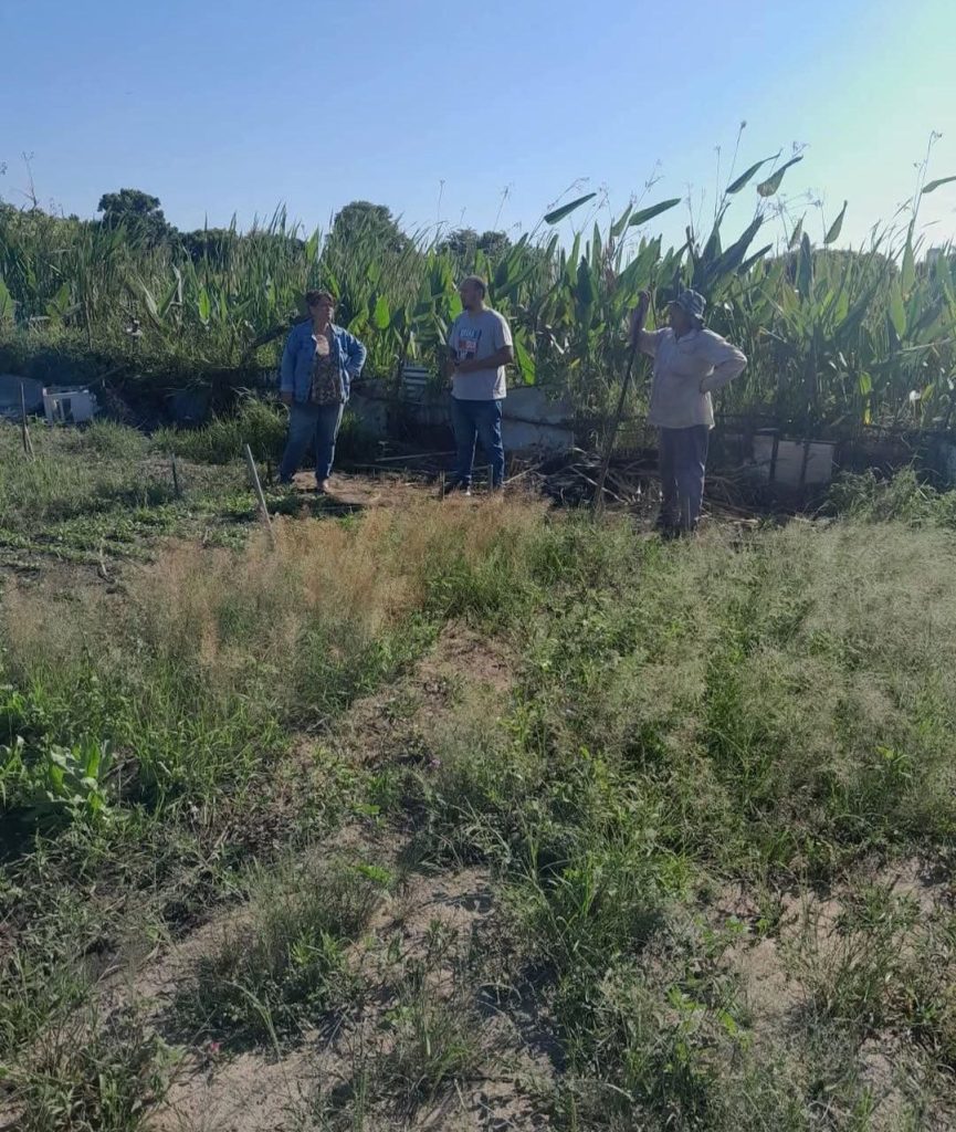 INSTITUTO PAIPPA: ACOMPAÑAMIENTO HORTÍCOLA A PRODUCTORA FERIANTE 2