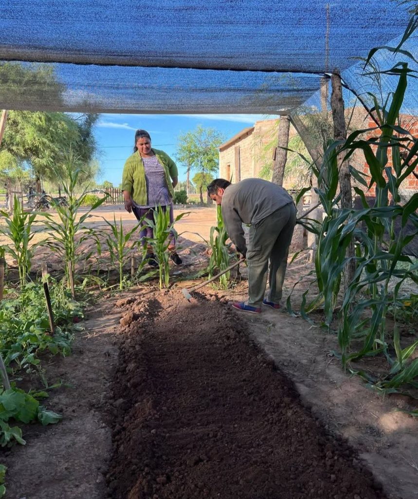 Fortalecimiento hortícola: Asistencia técnica a productores Paipperos en Laguna Yema 2