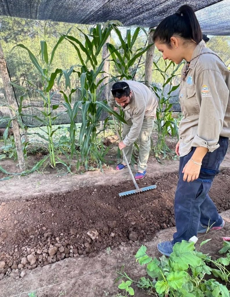 Fortalecimiento hortícola: Asistencia técnica a productores Paipperos en Laguna Yema 4