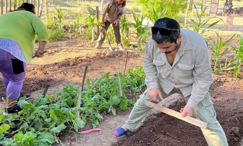 Fortalecimiento hortícola: Asistencia técnica a productores Paipperos en Laguna Yema 1
