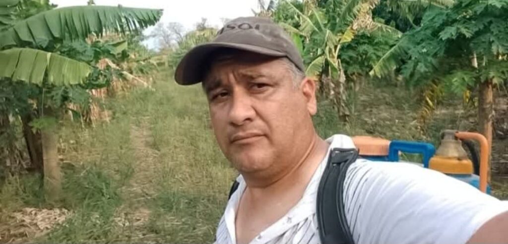 Del restaurante a la chacra: Nelson Beterette, pionero de frutas tropicales en Formosa 4