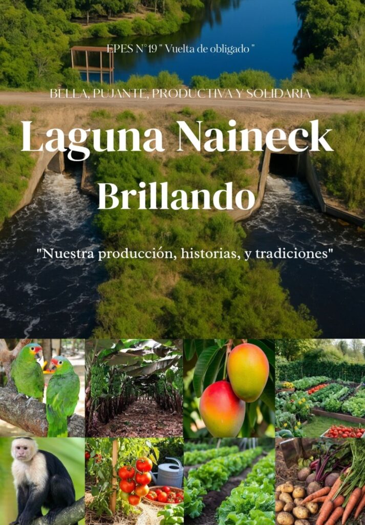 “Camino al Centenario”: estudiantes de la EPES Nº 19 de Laguna Naineck lanzan una revista digital que celebra la identidad local 7